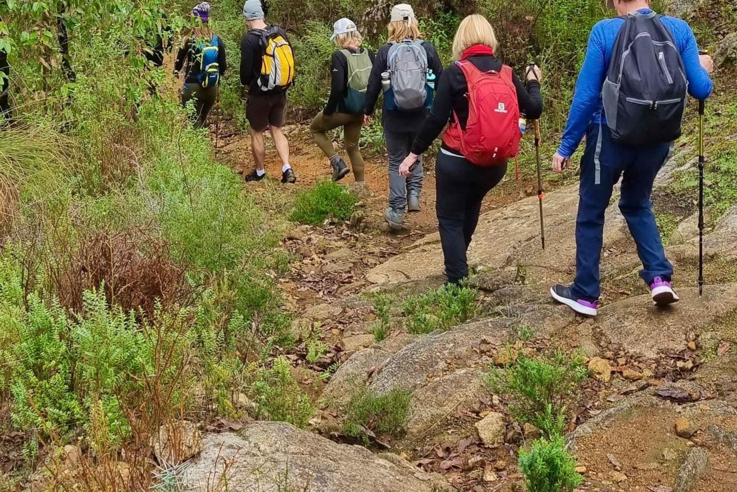 Колли: поход, вино и ужин