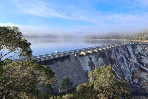 Колли: поход, вино и ужин