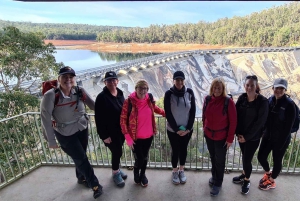 Колли: поход, вино и ужин