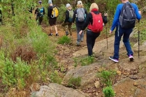 Колли: поход, вино и ужин