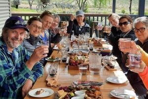 Колли: поход, вино и ужин