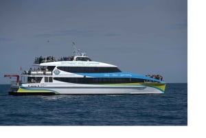 Cruzeiro de observação de baleias de 2 horas em Hillarys Boat Harbour - 09h00