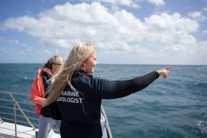 Cruzeiro de observação de baleias de 2 horas em Hillarys Boat Harbour - 09h00