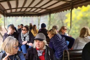 Dwellingup: wycieczka z przewodnikiem i malownicza przejażdżka pociągiem z lunchem