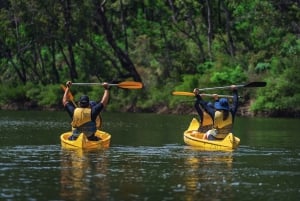 Dwellingup: Pack 'n' Paddle Self-Guided Tour