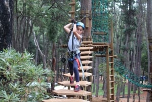 Dwellingup: Tree Ropes Course