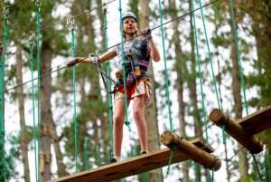 Dwellingup: Tree Ropes Course