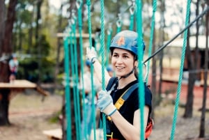 Vivienda arriba: Curso de Cuerdas en los Árboles