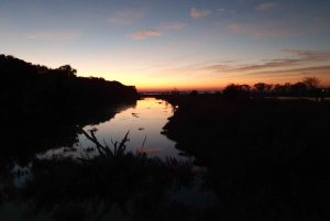 Erskine: Sunrise Yoga Hike with Morning Tea