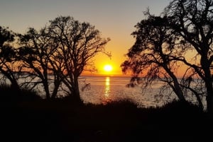 Erskine: Sunrise Yoga Hike with Morning Tea