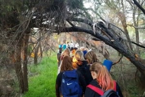 Erskine: Sunrise Yoga Hike with Morning Tea