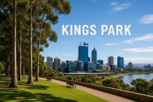 Fremantle : visite des temps forts de Perth et Fremantle pour les croisières