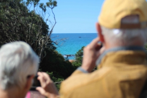 From Busselton: Half-Day Coastal and Wildlife Eco Tour