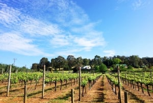 From Cider, Wine & Whiskey Tour With Lunch & Tastings