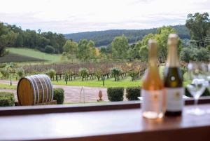 From Perth: Cider, Wine & Whiskey Tour With Lunch & Tastings