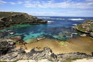 From Fremantle: Return Rottnest Island Ferry Ticket