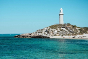 From Fremantle: Rottnest Island Ferry & Admission Ticket