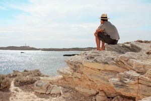 De Fremantle: Balsa para a Ilha Rottnest e ingresso de entrada