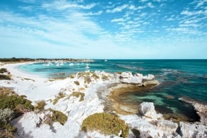 De Fremantle: Balsa para a Ilha Rottnest e ingresso de entrada