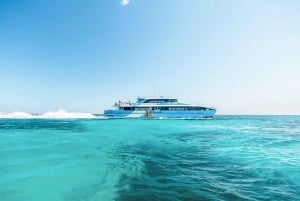 De Fremantle: Balsa para a Ilha Rottnest e ingresso de entrada