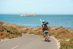 De Fremantle: Balsa para a Ilha Rottnest e ingresso de entrada