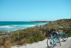 De Fremantle: Balsa para a Ilha Rottnest e ingresso de entrada