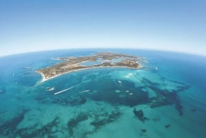 De Fremantle: Balsa para a Ilha Rottnest e ingresso de entrada