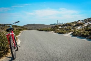 De Fremantle: Balsa para a Ilha Rottnest e ingresso de entrada