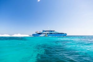 From Fremantle: Rottnest Island Ferry & Admission