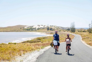 From Fremantle: Rottnest Island Ferry and Bike Day Tour