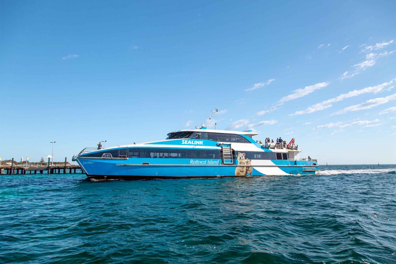 From Fremantle: Rottnest Island Ferry, Snorkel and Bike Hire