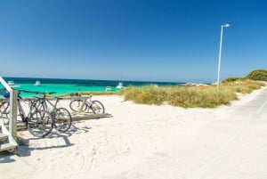 From Fremantle: Rottnest Island Ferry, Snorkel and Bike Hire
