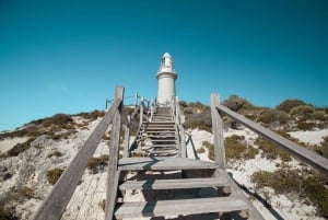 Desde Fremantle Ferry SeaLink Rottnest y alquiler de bicicletas