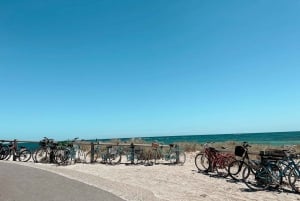 Desde Fremantle Ferry SeaLink Rottnest y alquiler de bicicletas