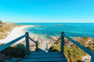 Desde Fremantle Ferry SeaLink Rottnest y alquiler de bicicletas