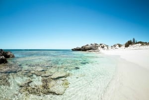 Desde Fremantle Ferry SeaLink Rottnest y alquiler de bicicletas