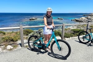 Desde Fremantle Ferry SeaLink Rottnest y alquiler de bicicletas