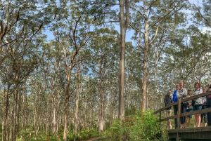 From Perth: 3-Day Margaret River Escape