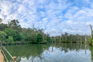 From Perth: 3-Day Margaret River Escape