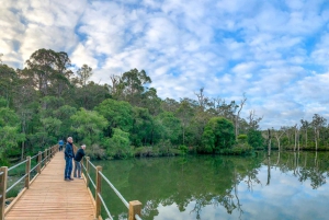 From Perth: 3-Day Margaret River Escape