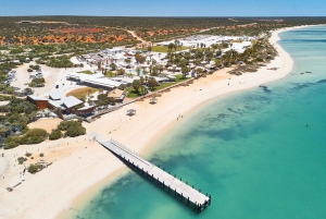From Perth: 4-Day Coastal Loop to Monkey Mia Comfort Level