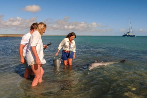 From Perth: 4-Day Coastal Loop to Monkey Mia Comfort Level