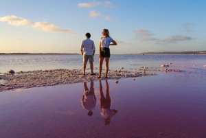 From Perth: 4-Day Coastal Loop to Monkey Mia Comfort Level