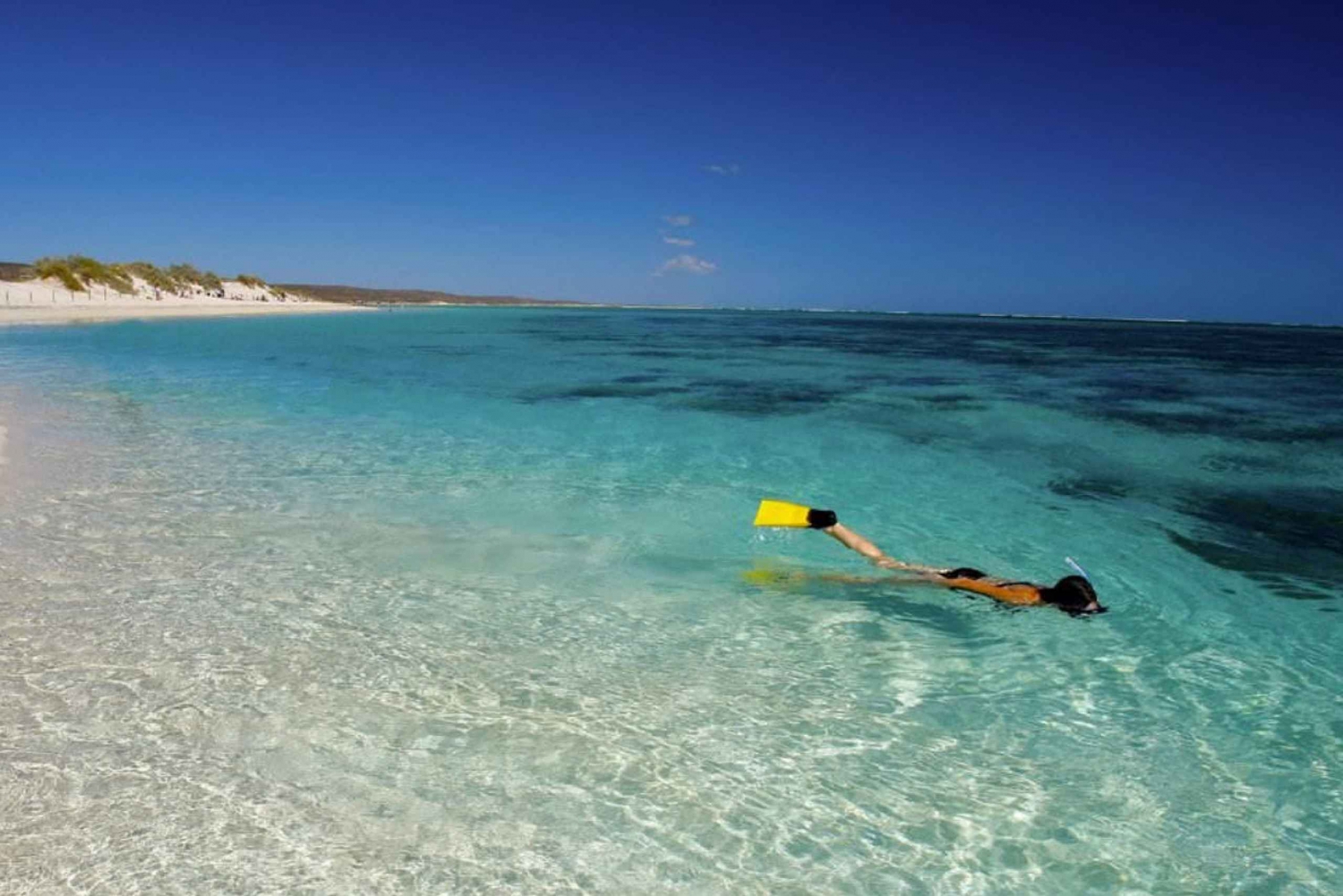 From Perth: 6-Day Whale Shark Snorkel and Ningaloo Reef Tour