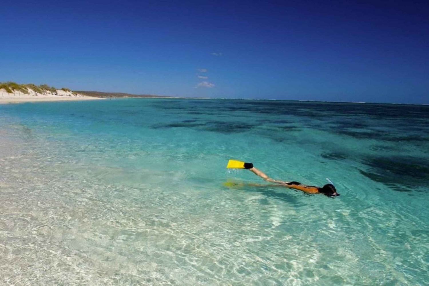 From Perth: 6-Day Whale Shark Snorkel and Ningaloo Reef Tour