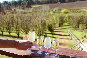 From Perth: Bickley Valley Wine and Cider Tour with Tastings