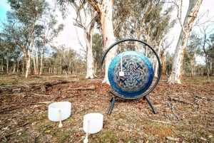 Perthistä: Australian eläinten iltasafari