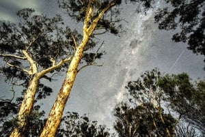 Perthistä: Australian eläinten iltasafari