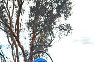 Perthistä: Australian eläinten iltasafari