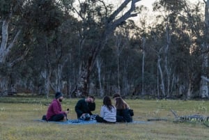 From Perth: Perth Wildlife Tour Under the Stars with Dinner